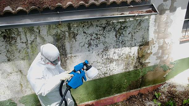 Top rated local Commercial Mold Remediation specialists in Spring House, PA